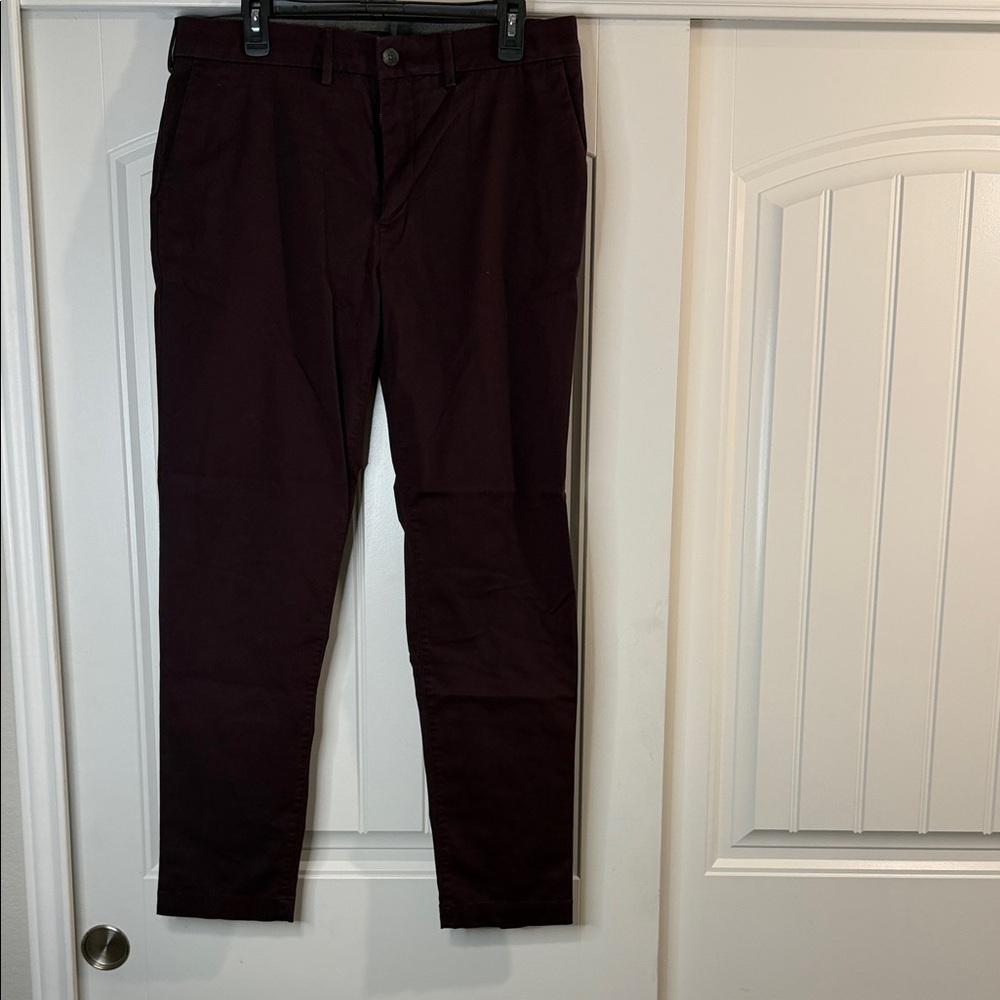 Express Men's Dark Plum Chinos